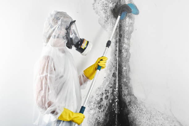 Best Emergency Mold Remediation  in Ellerslie, GA