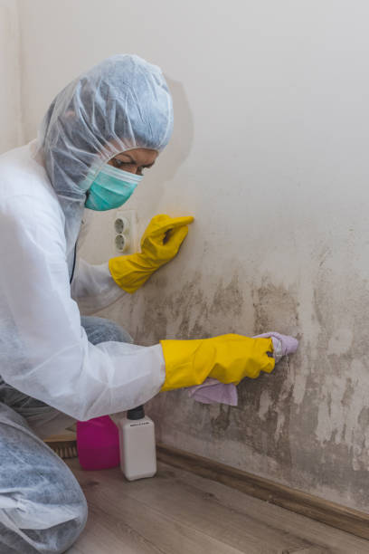Best Industrial Mold Remediation  in Ellerslie, GA