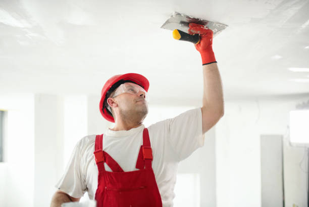 Forensic Mold Investigation in Ellerslie, GA