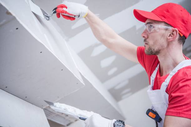 Best Post-Construction Mold Inspection  in Ellerslie, GA